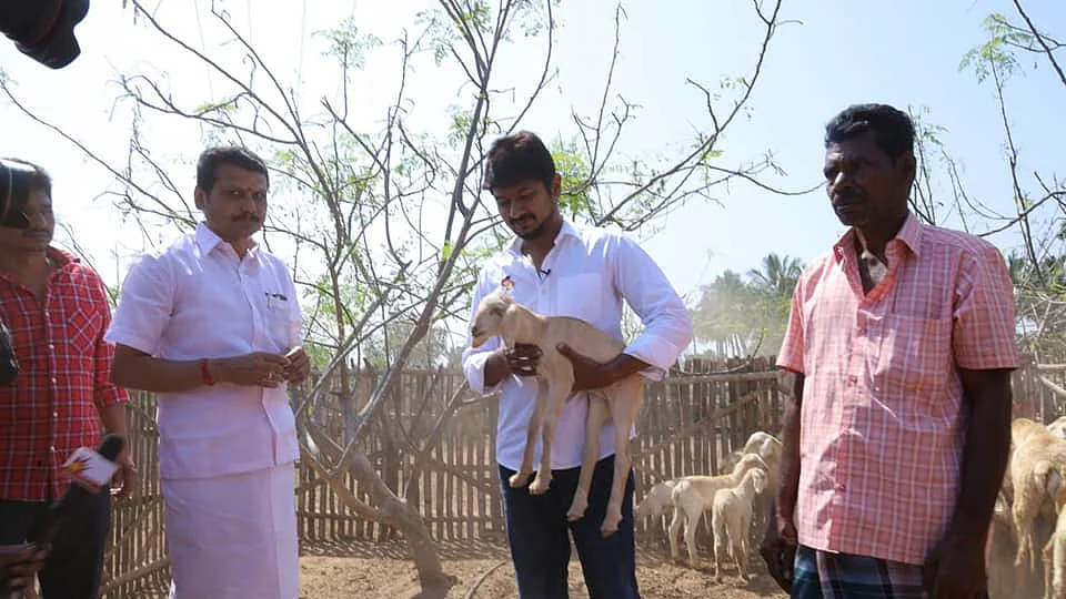 ஆட்டுக்குட்டியுடன் உதயநிதி ஸ்டாலின்