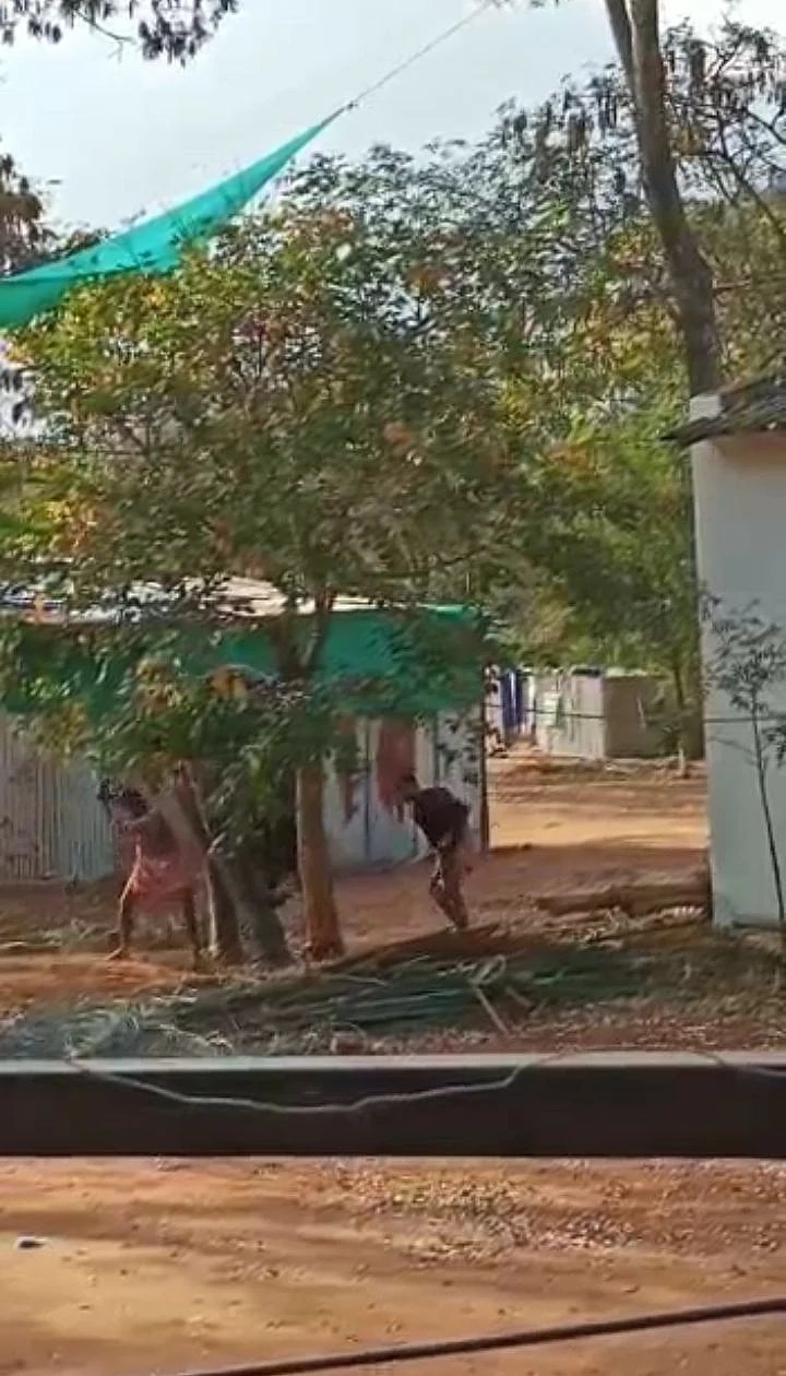 யானை