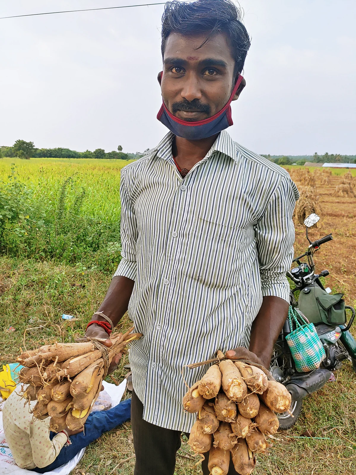 பனங்கிழங்குடன் கிருஷ்ணன்
