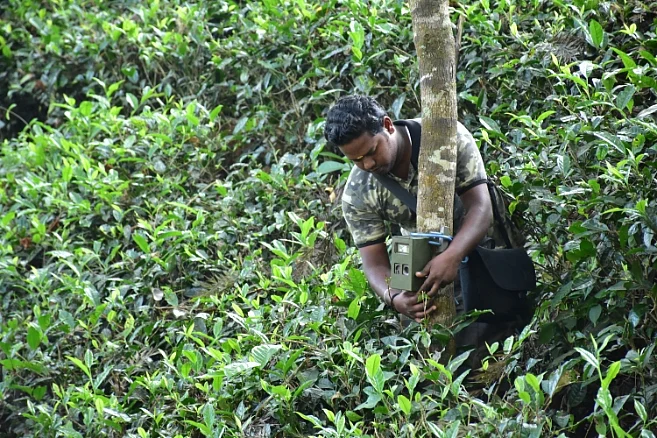ஆபரேஷன் புரோக்கன் டஸ்கர்