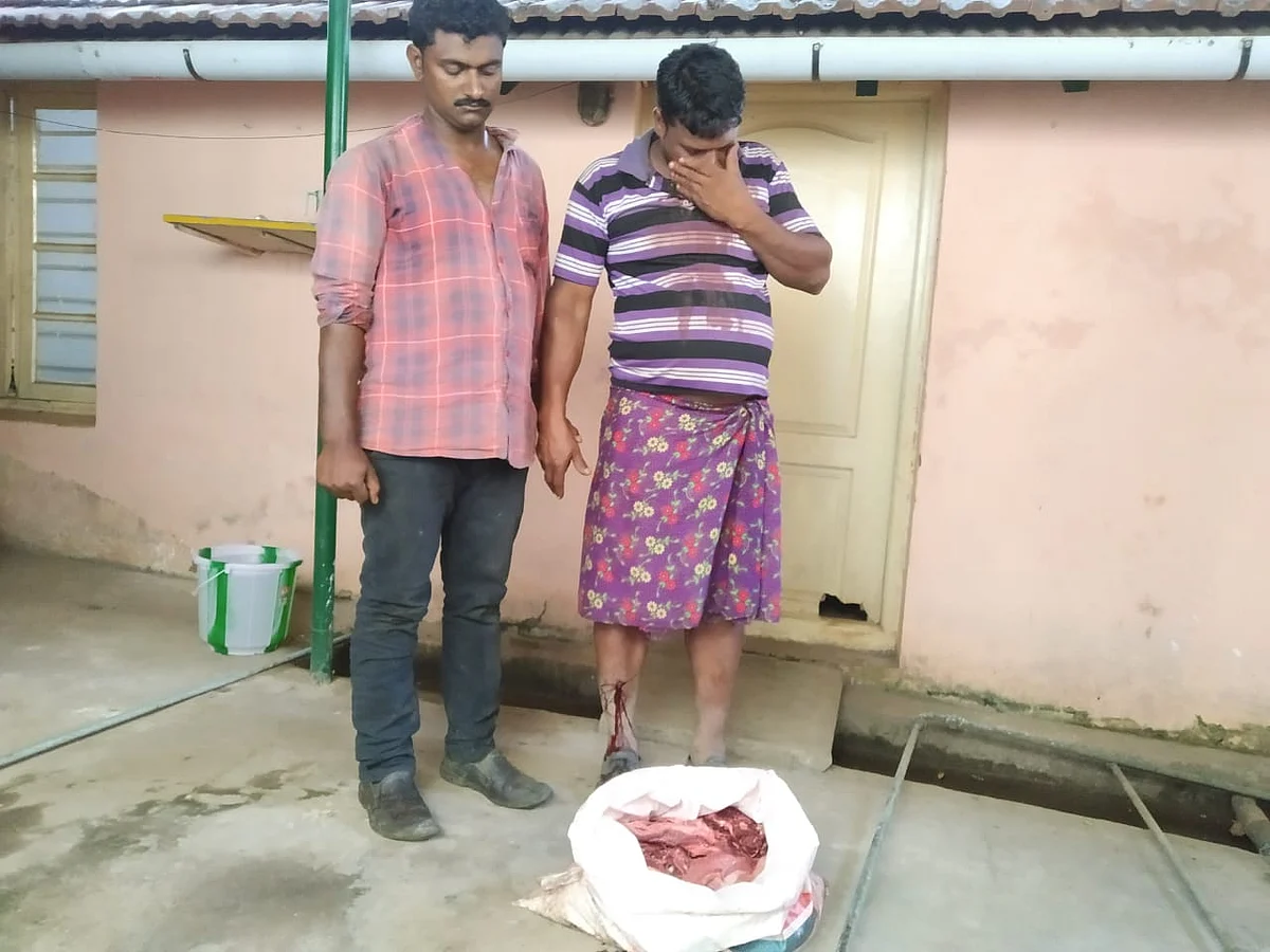 மான் வேட்டை