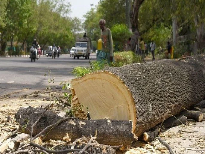 மேற்கு வங்கம்: வெட்டப்படும் 350 மரங்களின் மதிப்பு 220 கோடிகள்... சர்ச்சையாகும் மேம்பாலத் திட்டம்!