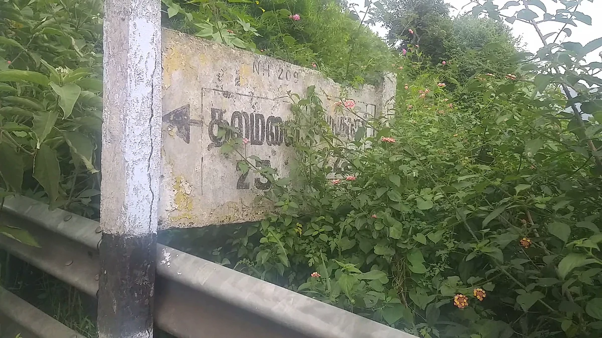 தலமலை