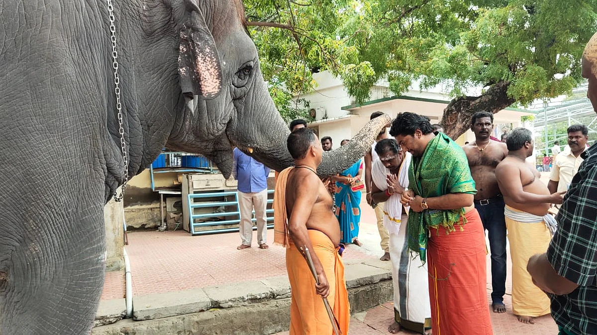ஜெய பிரதீப்