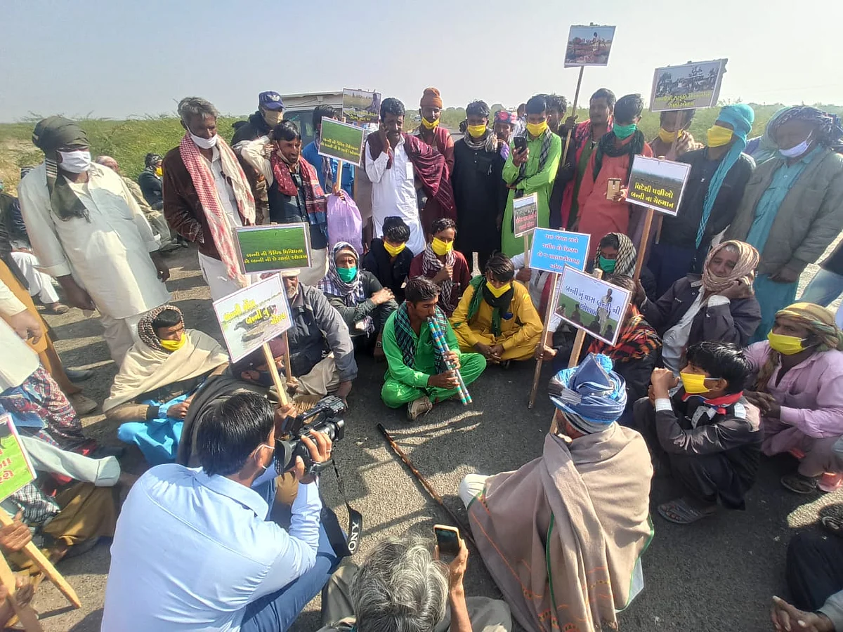 `எங்கள் நில உரிமையை விடமாட்டோம்!' - குஜராத்தில் மல்தாரி மாடு மேய்ப்பர்கள் போராடுவது ஏன்?