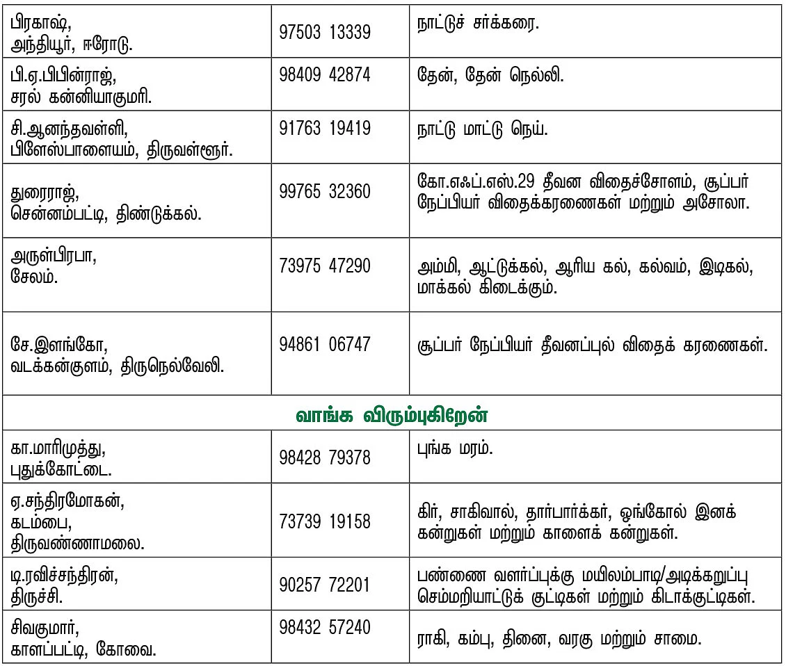பசுமை சந்தை