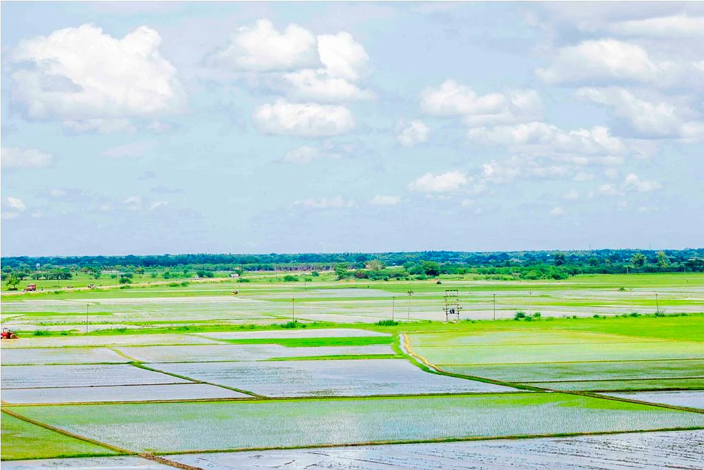 விவசாய நிலம்