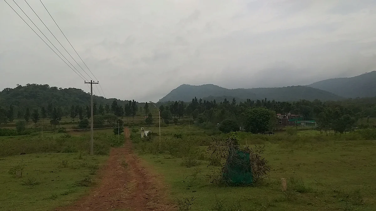 தலமலை