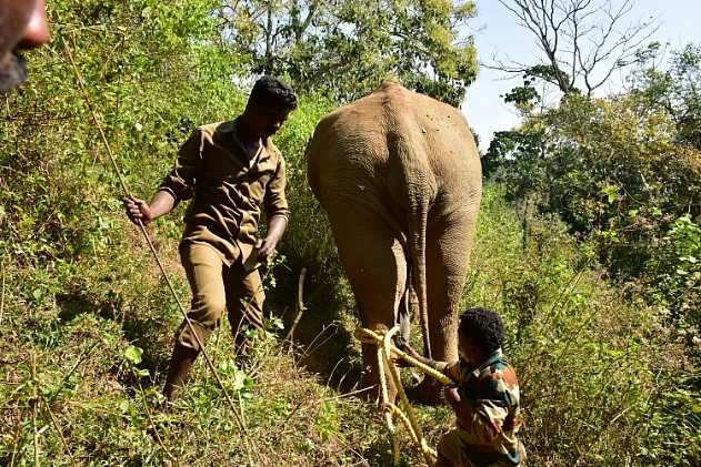 ஆபரேஷன் புரோக்கன் டஸ்கர்