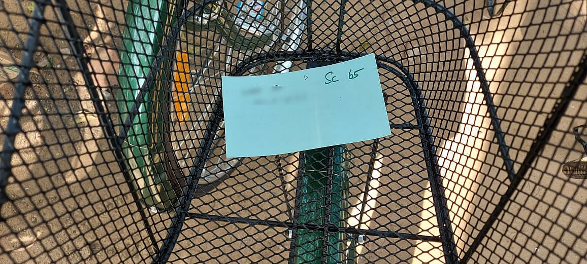 vikatan%2F2021-02%2Faee86d56-803f-49d0-94a9-4e06e35c8527%2Fschool6.jpg?auto=format%2Ccompress&format=webp&w=640&dpr=1.0