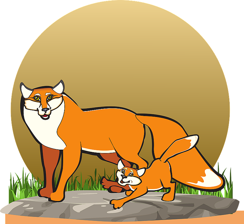 Fox