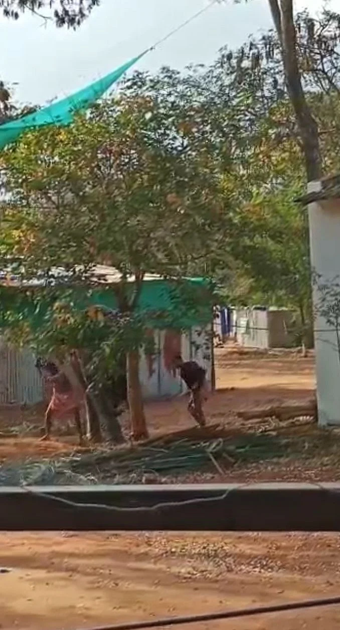 யானை