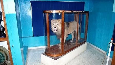 மெட்ராஸ் வரலாறு