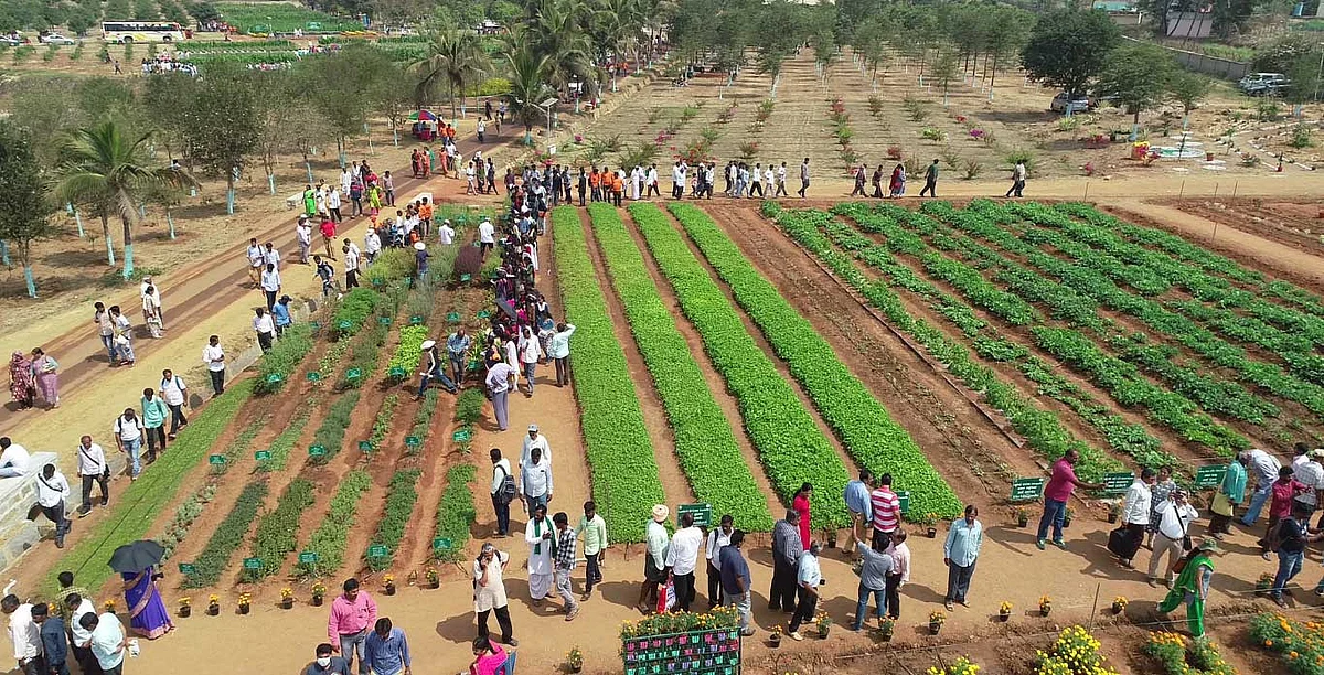 தோட்டக்கலை கண்காட்சி