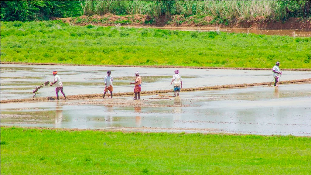 விவசாயம்