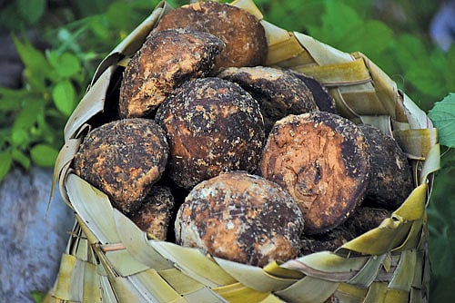 பனங்கருப்பட்டி