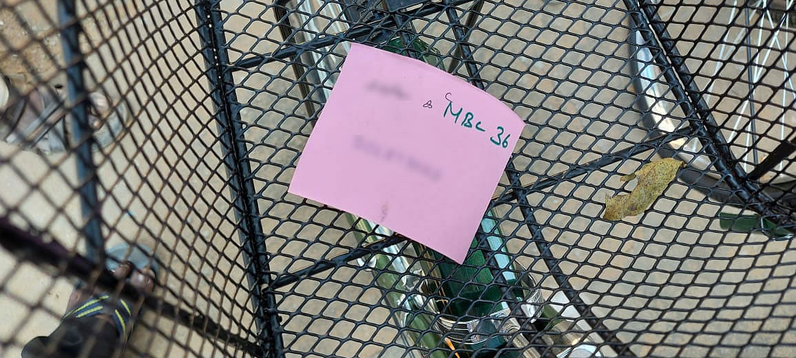 vikatan%2F2021-02%2Fc7698c43-b77f-4fc6-8e30-755ad616664b%2Fschool4.jpg?auto=format%2Ccompress&format=webp&w=640&dpr=1.0