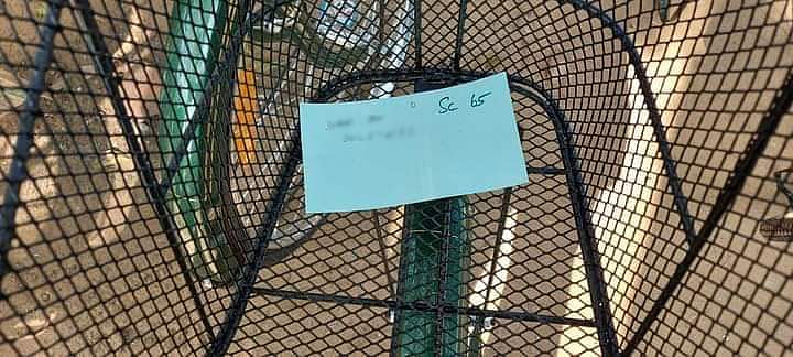 vikatan%2F2021-02%2Fc9e59fdc-f5ff-48ed-b445-eacbab1be131%2Fschoo1.jpg?auto=format%2Ccompress&format=webp&w=640&dpr=1.0