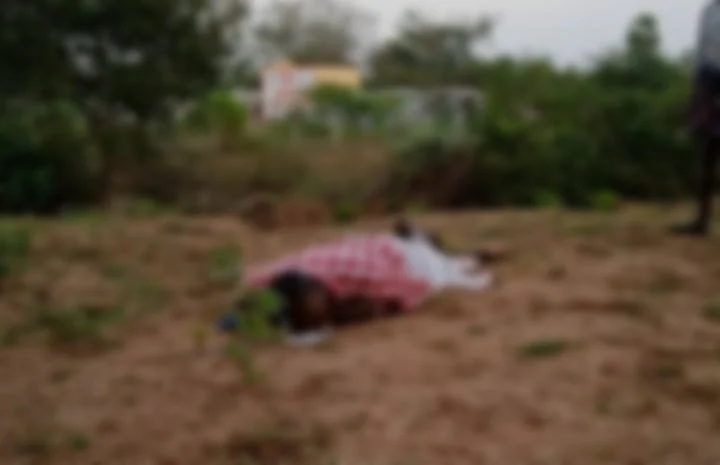திருநாவுக்கரசு