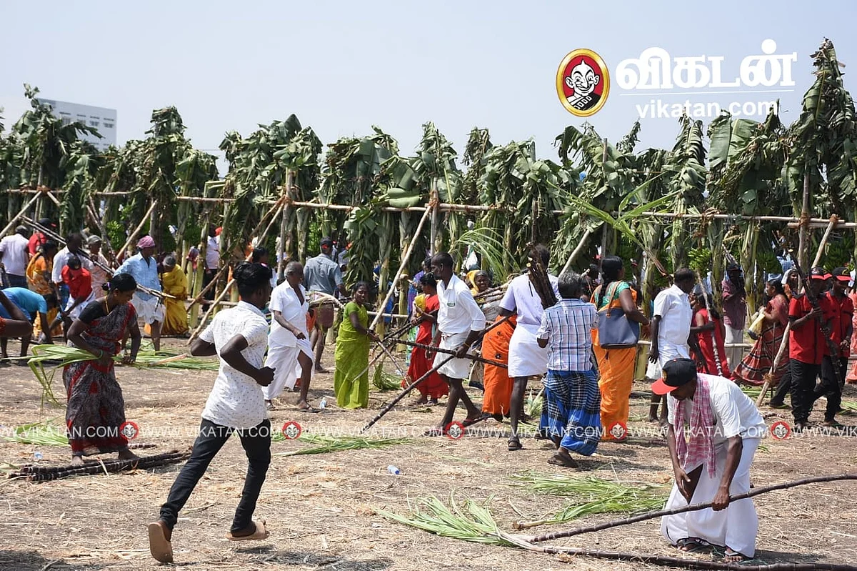 வாழை, கரும்புகளை எடுத்துச் செல்லும் மக்கள்