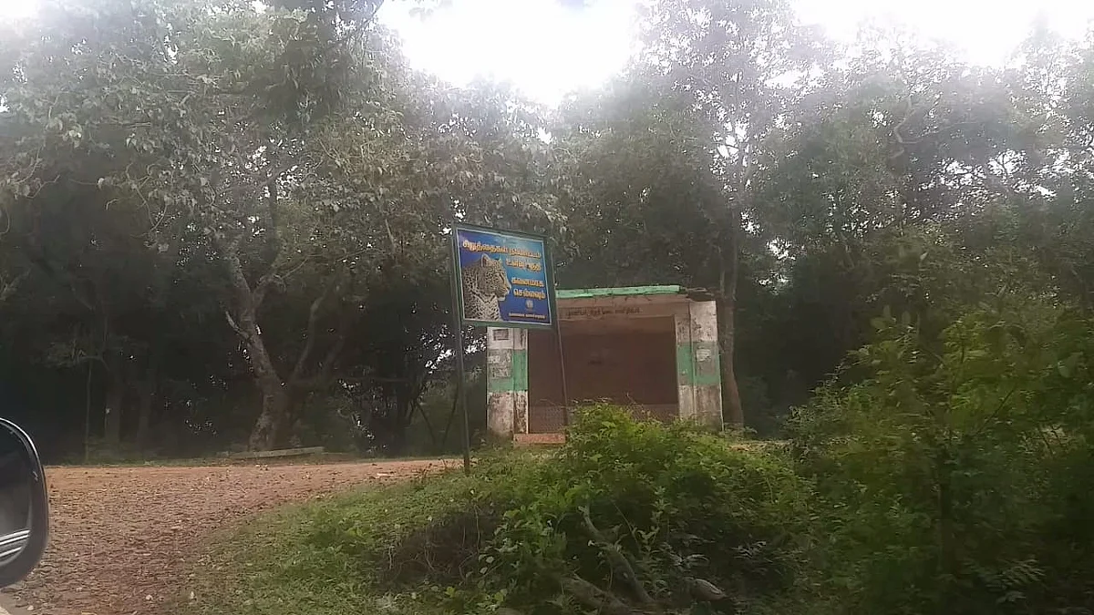 தலமலை