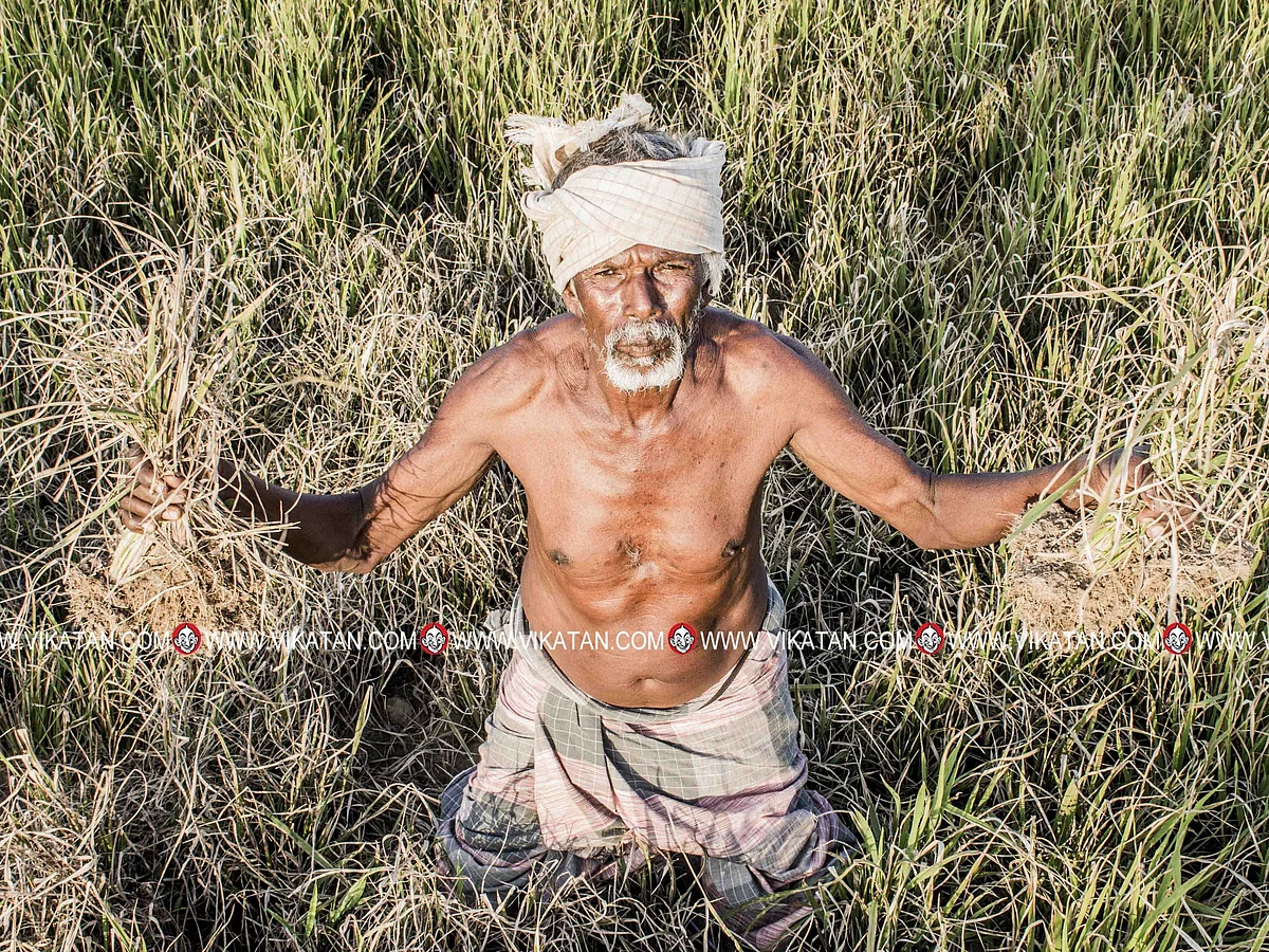 கிசான் சம்மான் திட்ட முறைகேடு: திருப்பிச் செலுத்தாதவர்களுக்கு ஊரக வேலை வழங்கி வசூலிக்கத் திட்டமா?
