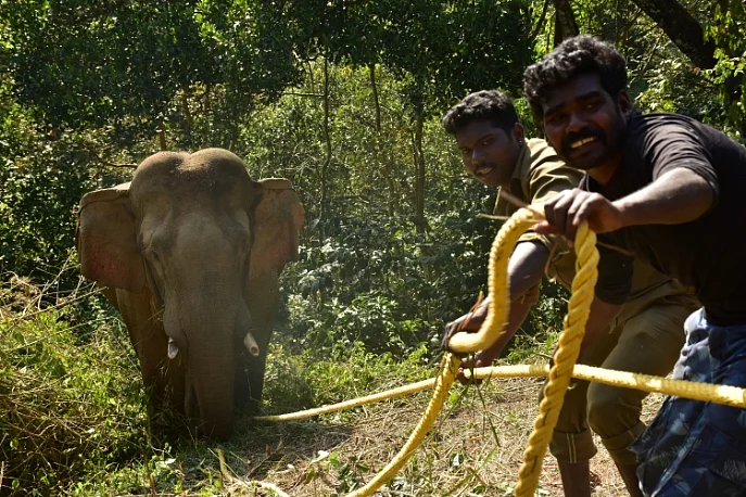 ஆபரேஷன் புரோக்கன் டஸ்கர்