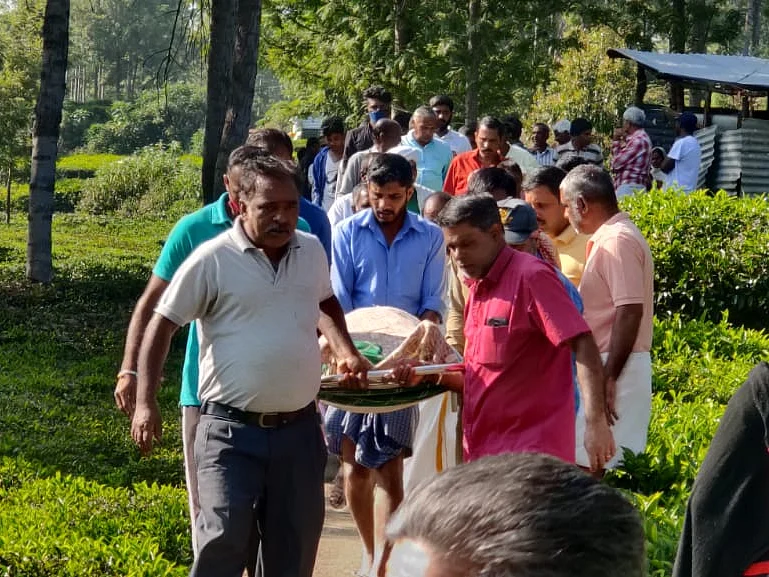 நீலகிரி: காட்டுமாடு தாக்கி பெண் உயிரிழப்பு! - தேயிலைத் தோட்டத்தில் நடந்த பயங்கரம்