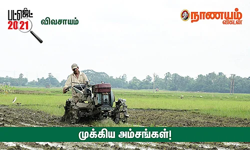 விவசாயம்