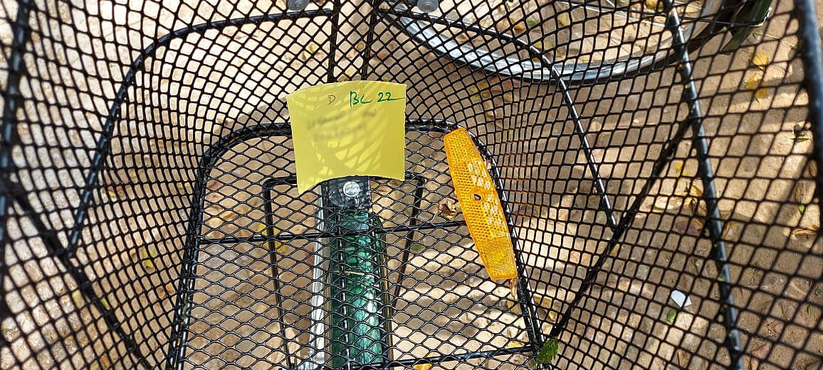 vikatan%2F2021-02%2Fede47918-788b-4b7e-9e8e-d572a556b973%2Fschoo2.jpg?auto=format%2Ccompress&format=webp&w=640&dpr=1.0