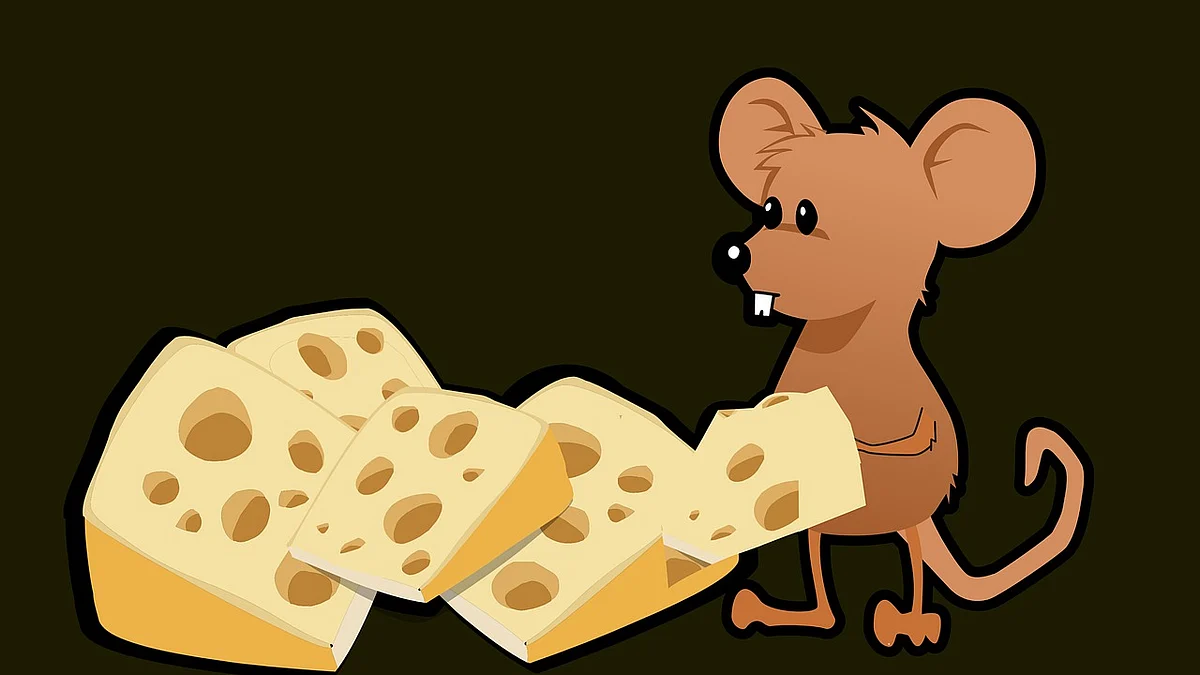 rat