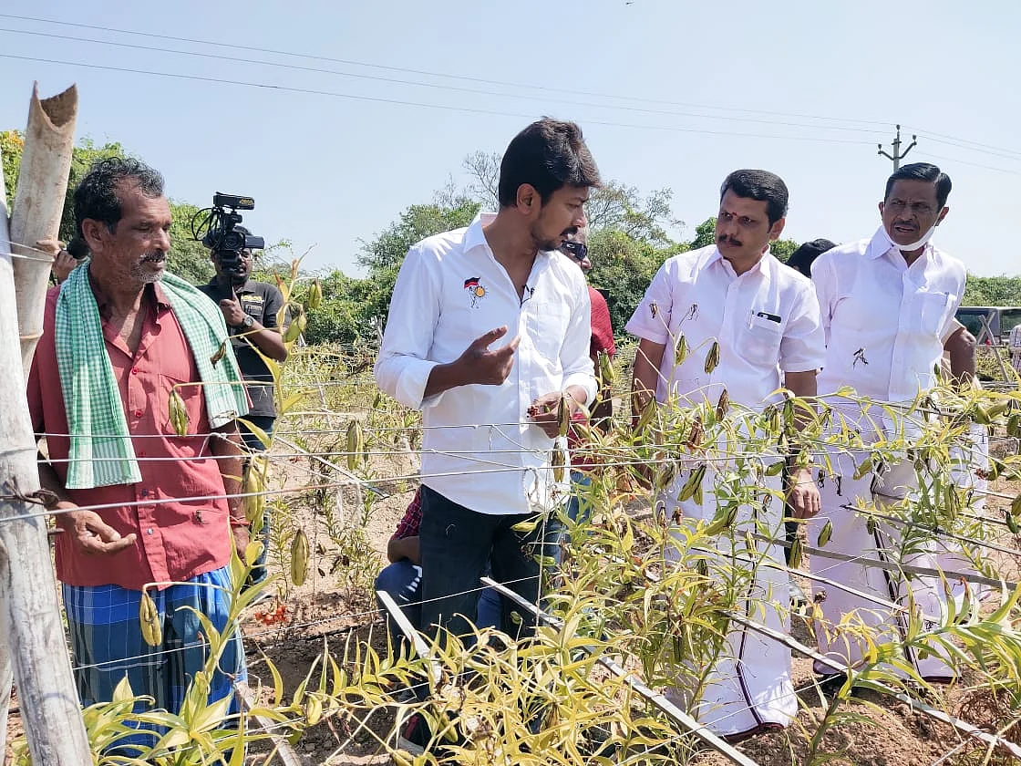 செங்காந்தள் மலர் தோட்டத்தில் உதயநிதி