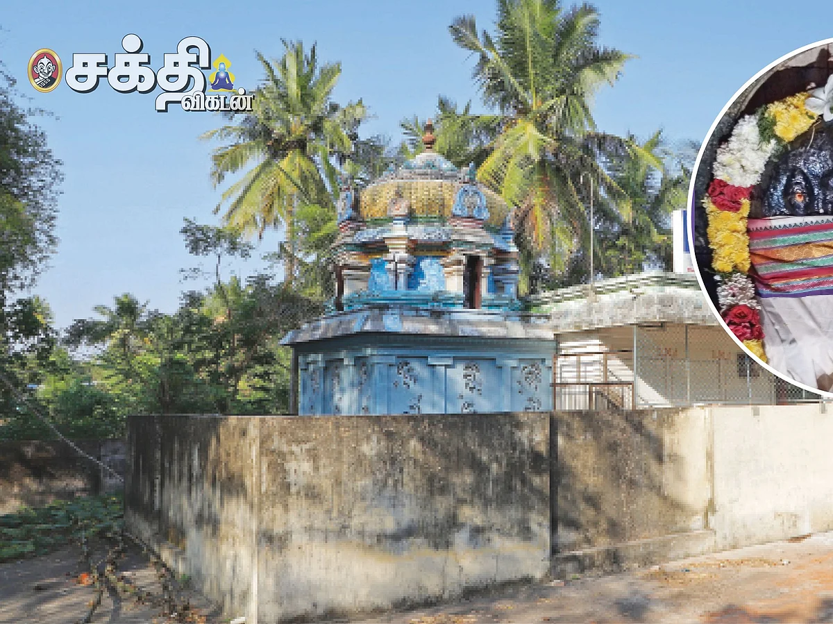ஐயனாருக்குக் காவடி வழிபாடு!