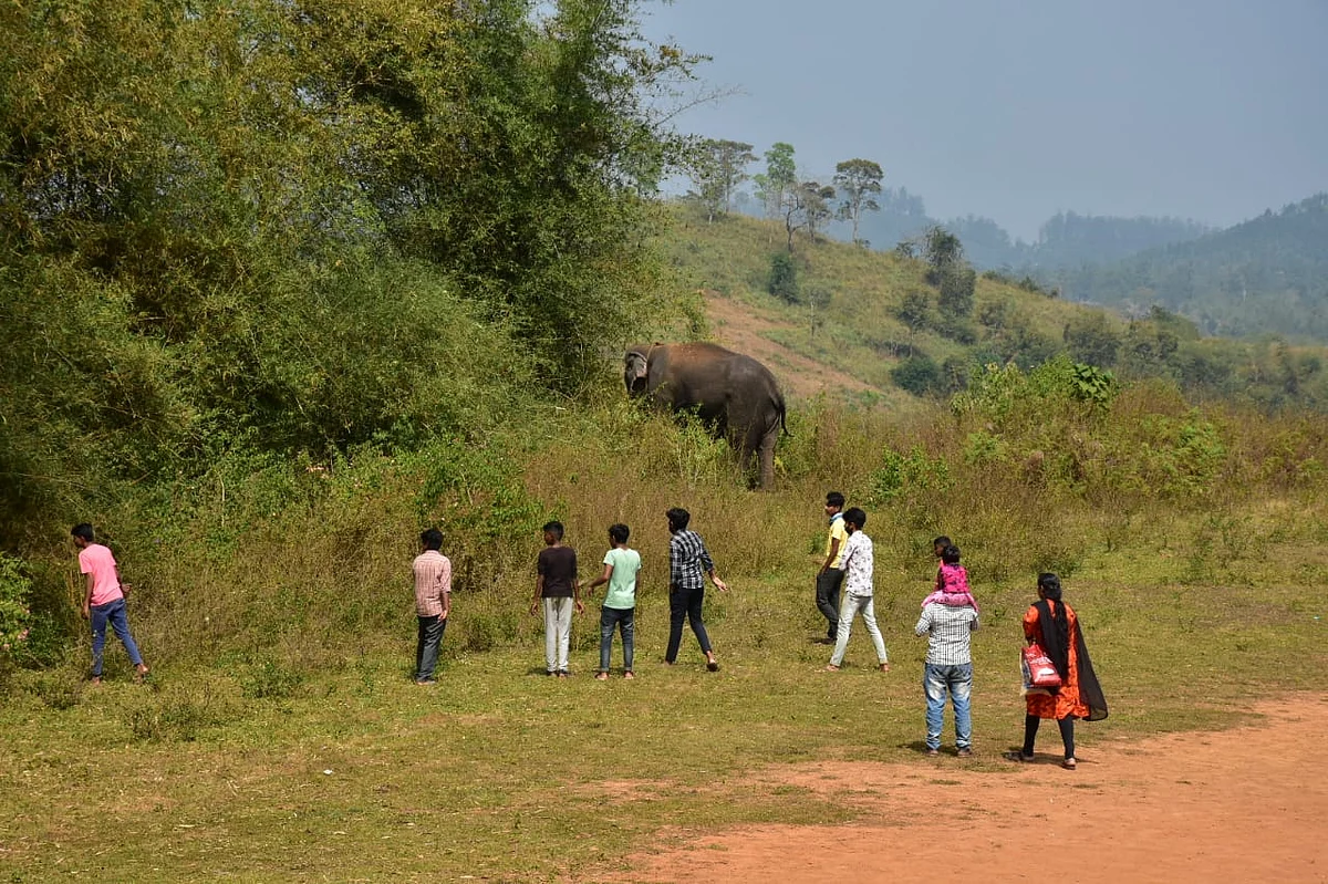 கும்கி