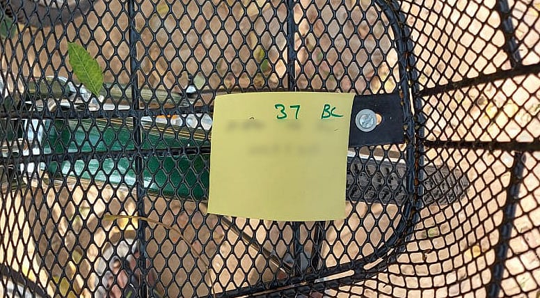 vikatan%2F2021-02%2Ff8ca5962-b166-42d4-a5a7-dc021a39c9a9%2Fschool5.jpg?auto=format%2Ccompress&format=webp&w=640&dpr=1.0