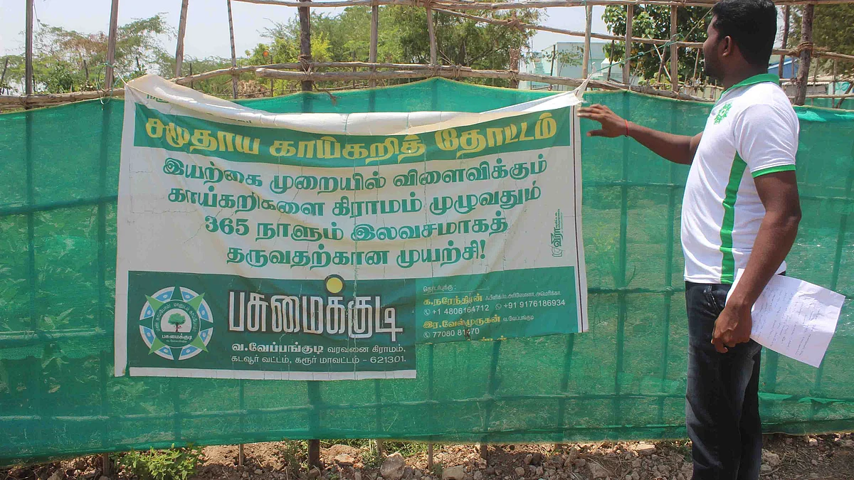 நரேந்திரன் உருவாக்கிய சமுதாயக் காய்கறித் தோட்டம்