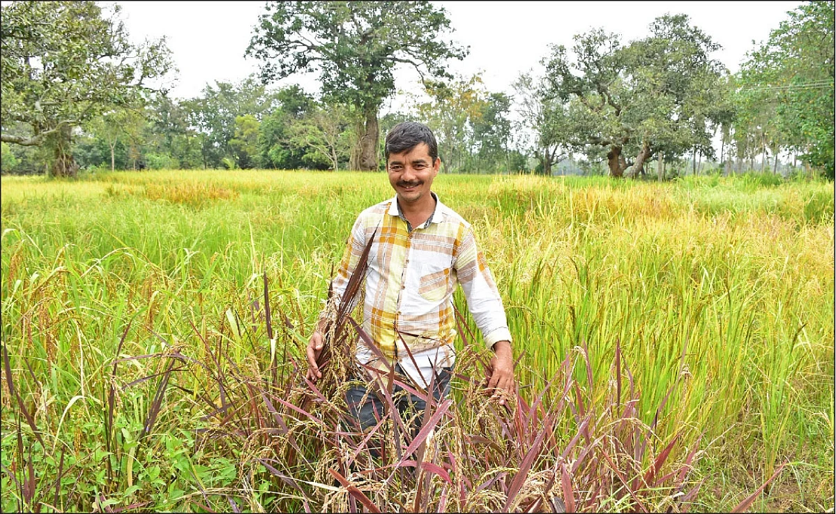 சையது கனி கான்
