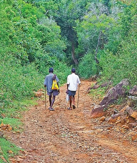 இருள் கிராமங்களின் துயரம்... ரோடு போடாத அரசாங்கம் ஓட்டு போடச் சொல்லுது!