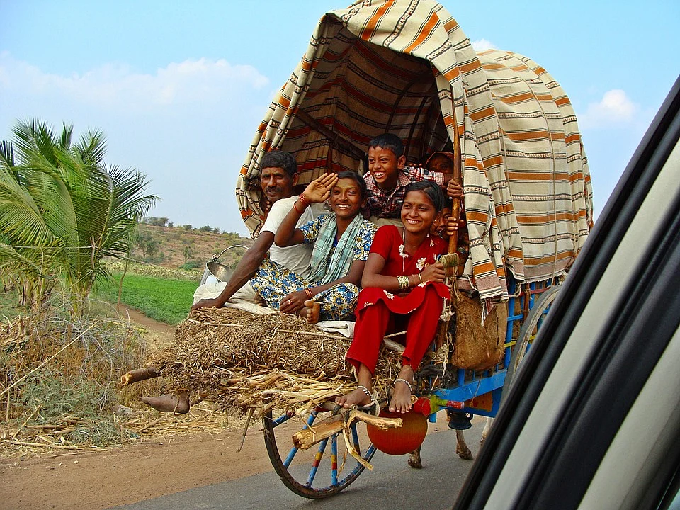 Bullock cart