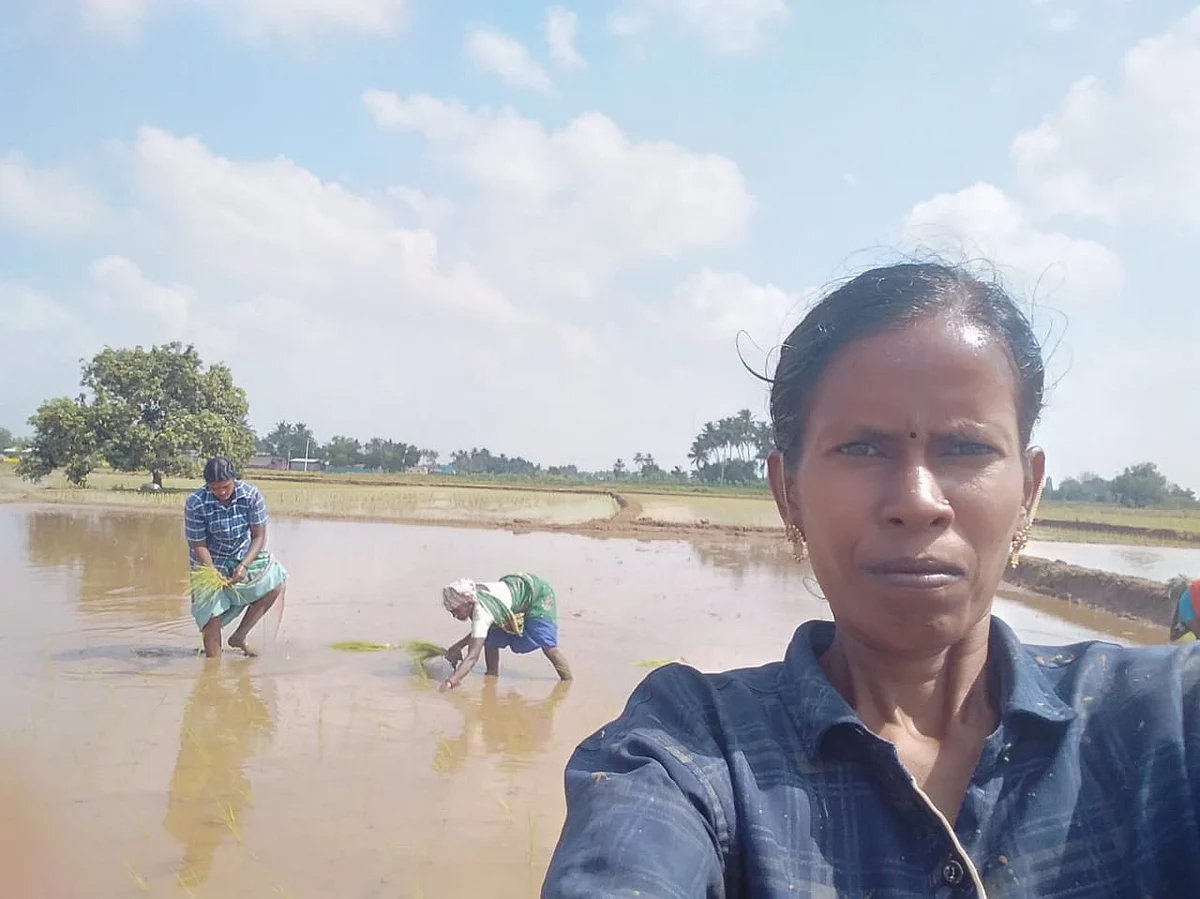 இயற்கை விவசாயம் செய்யும் அன்னலட்சுமி