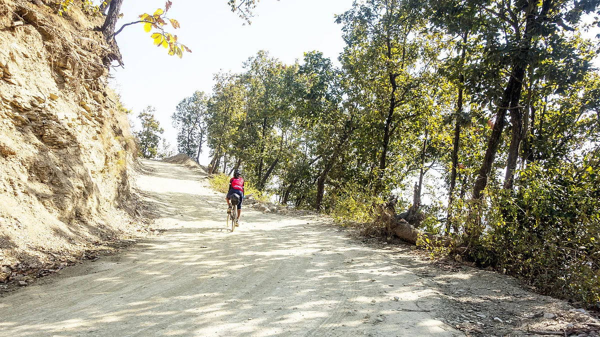Jim Corbett forest reserve