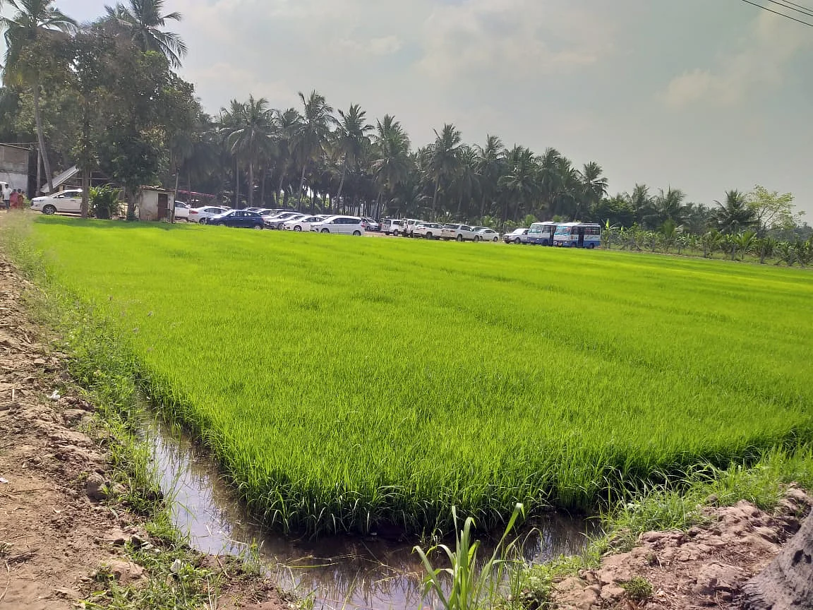 விழா நடைபெற்ற இடம்