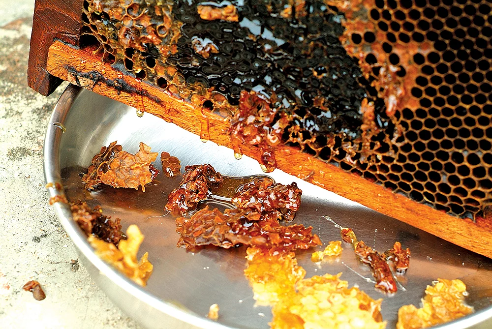 வீட்டிலிருந்தே செய்யக்கூடிய எட்டு தொழில்கள்! - குறைவான முதலீடு... நிறைவான வருமானம்!