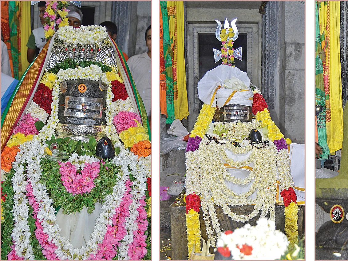 `என்றென்றும் பேரானந்தம்!' - கீழ்ப்பசார் மகா சிவராத்திரி விழா