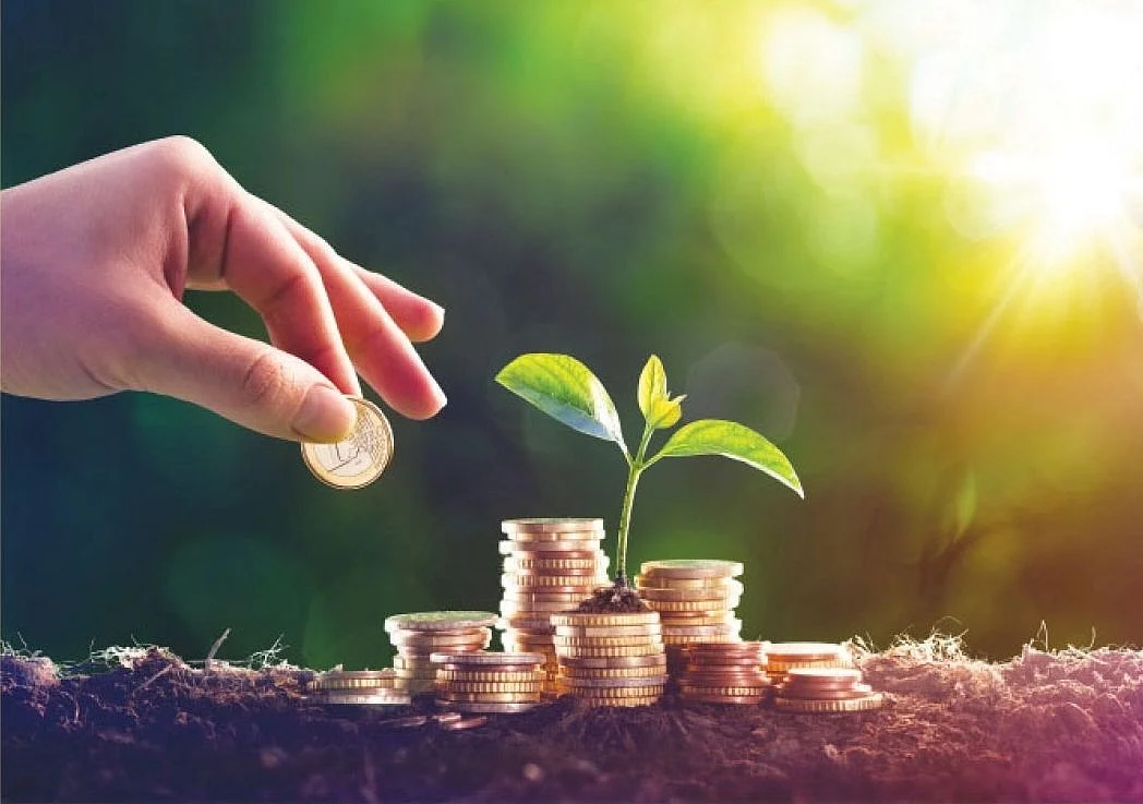 mutual fund