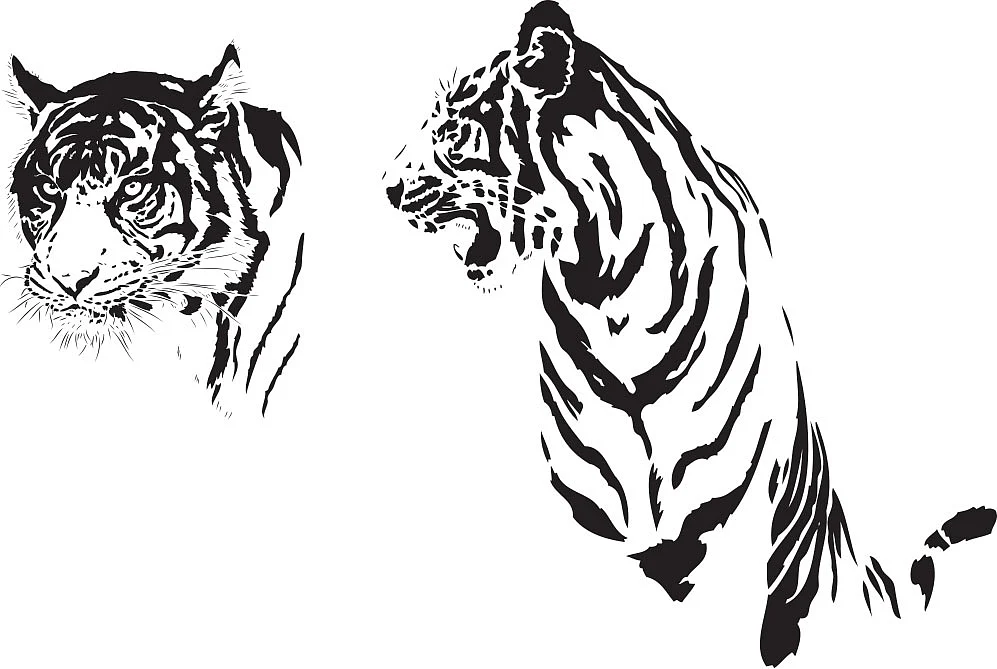 14 வயதில் நாவலாசிரியர்!