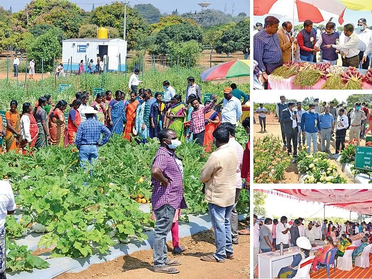 புதிய ரகங்கள், தொழில்நுட்ப ஆலோசனைகள்... களைகட்டிய தோட்டக்கலைக் கண்காட்சி!