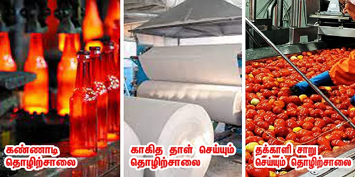 தற்சார்புப் பசுமைத் தாய்மைப் பொருளாதாரம் - நாம் தமிழர் முன்வைக்கும் பொருளாதாரத் திட்டம் என்ன?