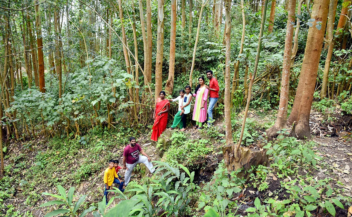 காந்தளூர் அருவி ட்ரெக்கிங்