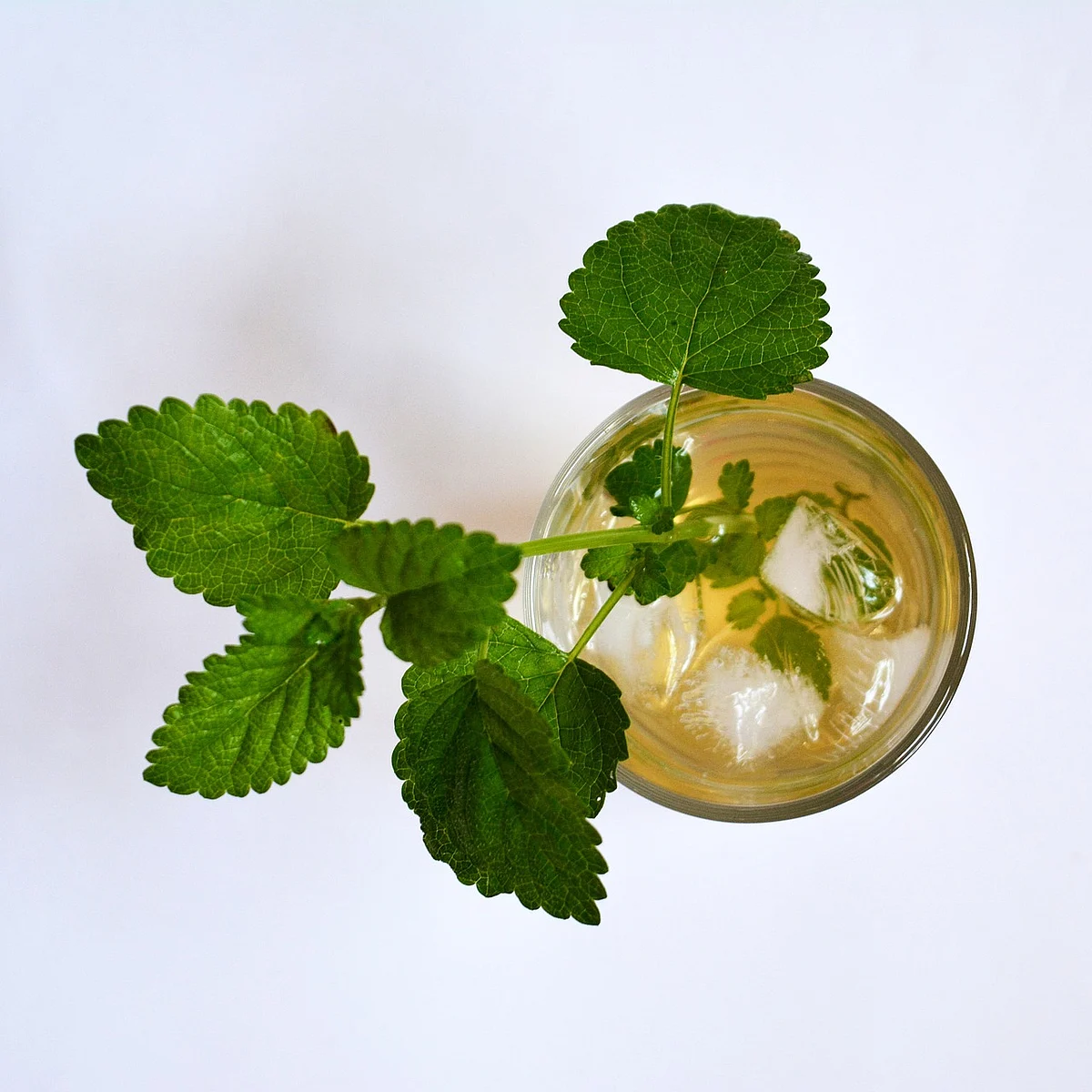 Ice tea